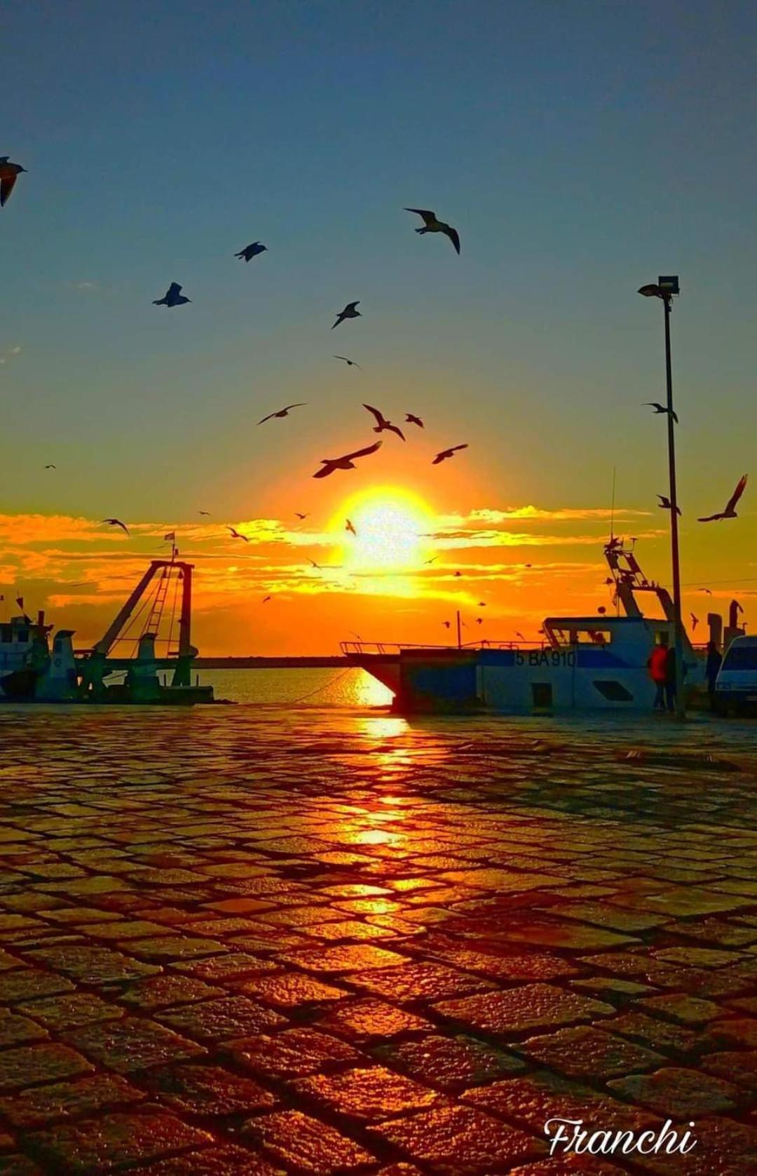 Vacanze Al San Domenico Mola di Bari Luaran gambar